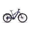 Picture of POLYGON SISKIU HE-P EU PURPLE 1x12 29